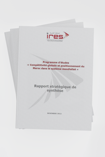 Rapport stratégique de synthèse : Programme d’études